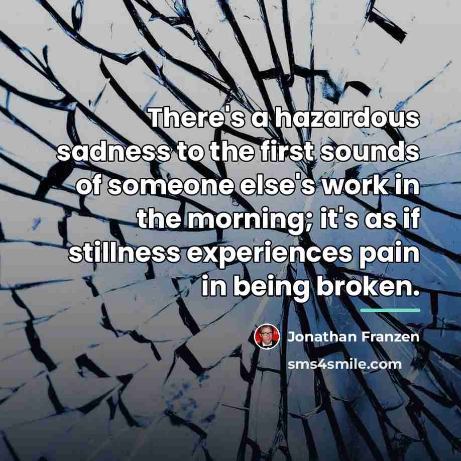“There's a hazardous sadness to the first sounds of someone…” quote by Jonathan Franzen