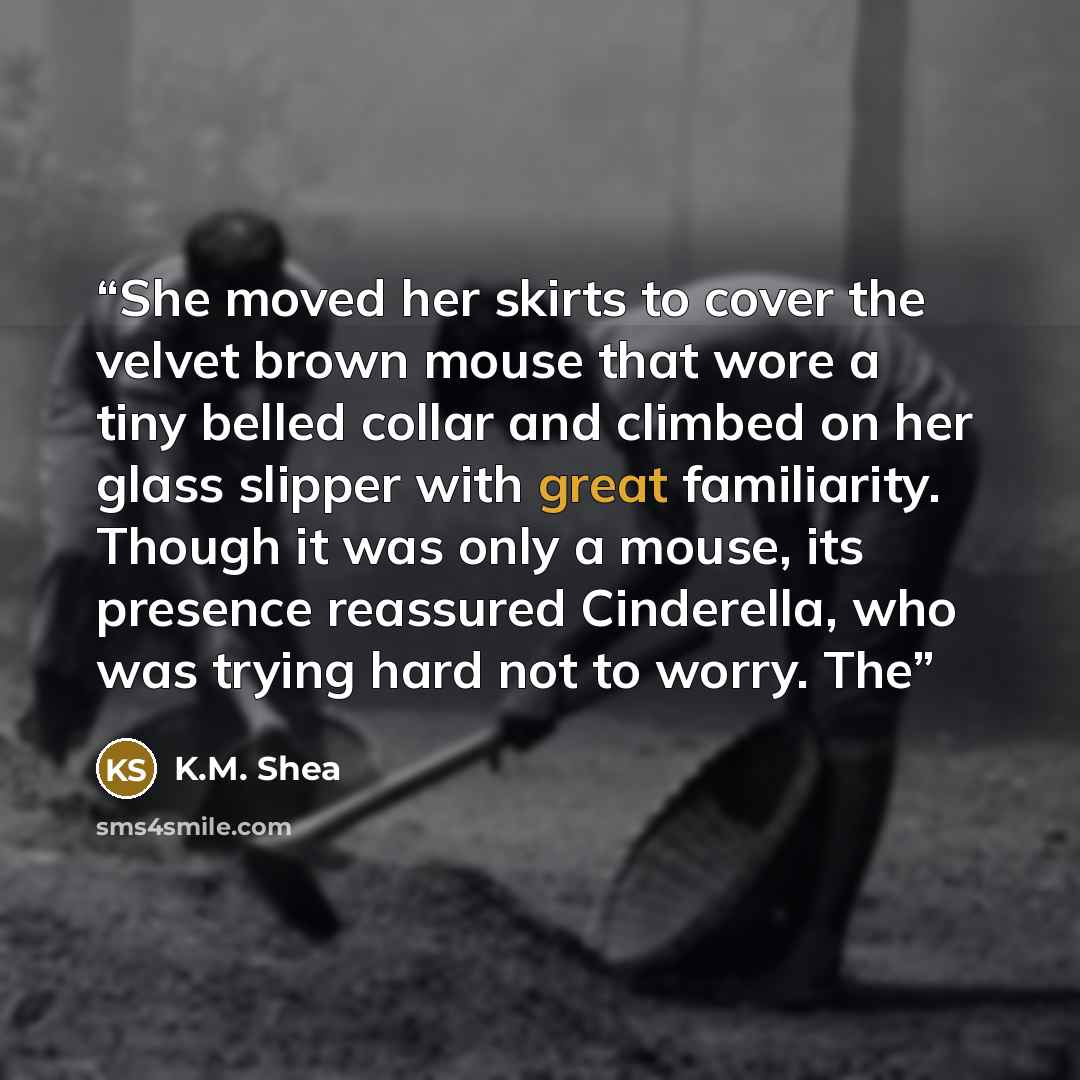 “She moved her skirts to cover the velvet brown mouse that wore a tiny belled collar and climbed on her glass slipper with great familiarity. Though it was only a mouse, its presence reassured Cinderella, who was trying hard not to worry. The” quote by K.M. Shea