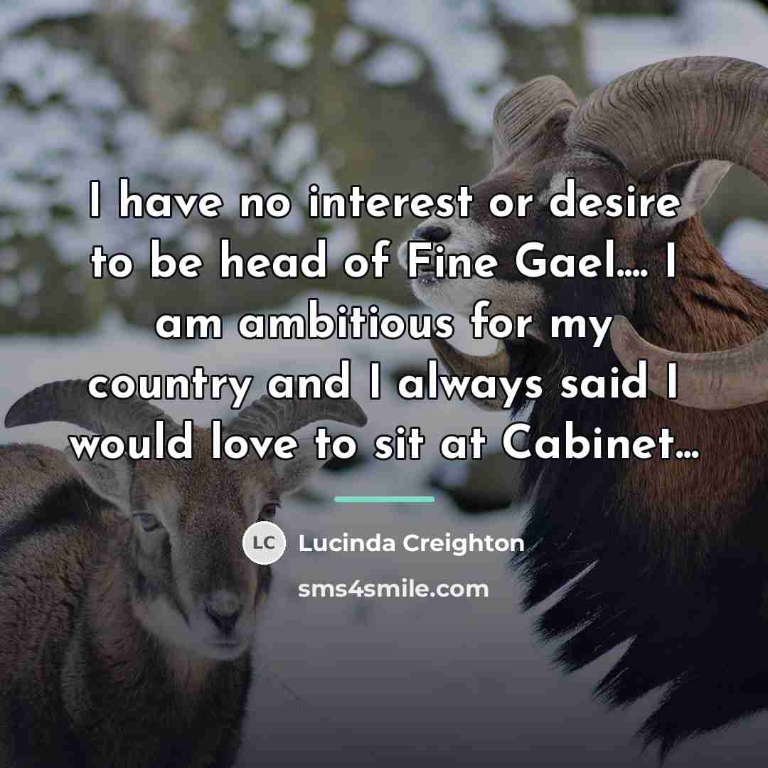 “I have no interest or desire to be head of…” quote by Lucinda Creighton