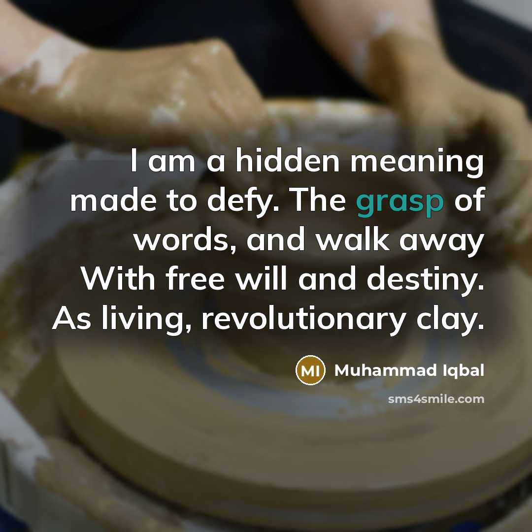“I am a hidden meaning made to defy. The grasp…” quote by Muhammad Iqbal