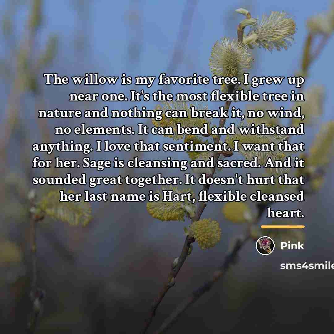 “The willow is my favorite tree. I grew up near…” quote by Pink