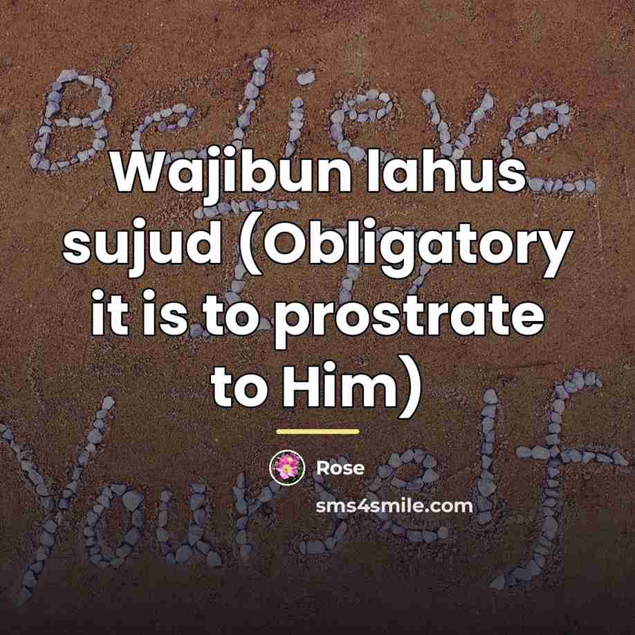 “Wajibun lahus sujud (Obligatory it is to prostrate to Him)…” quote by Rose