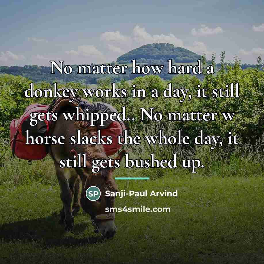 “No matter how hard a donkey works in a day,…” quote by Sanji-Paul Arvind