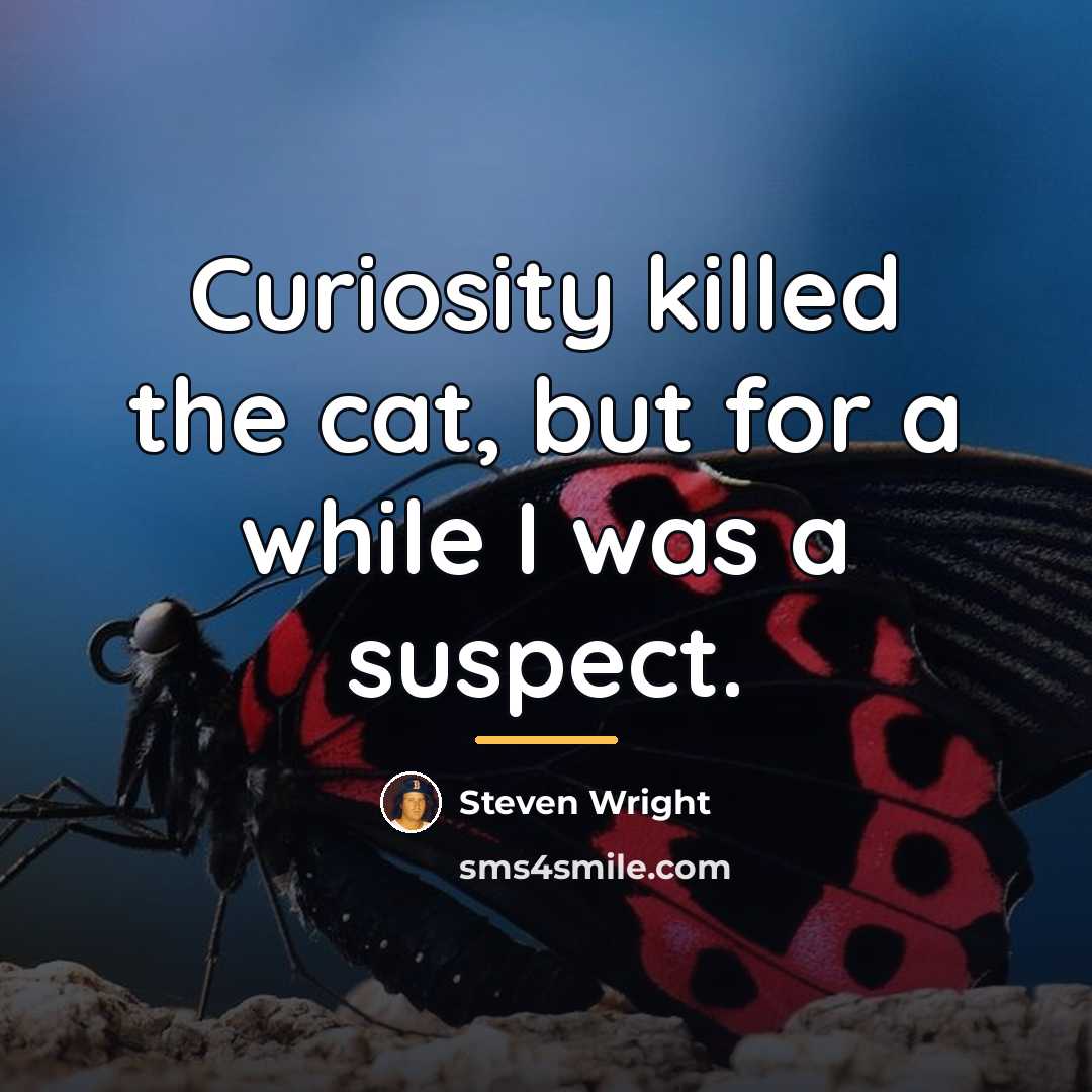 “Curiosity killed the cat, but for a while I was…” quote by Steven Wright