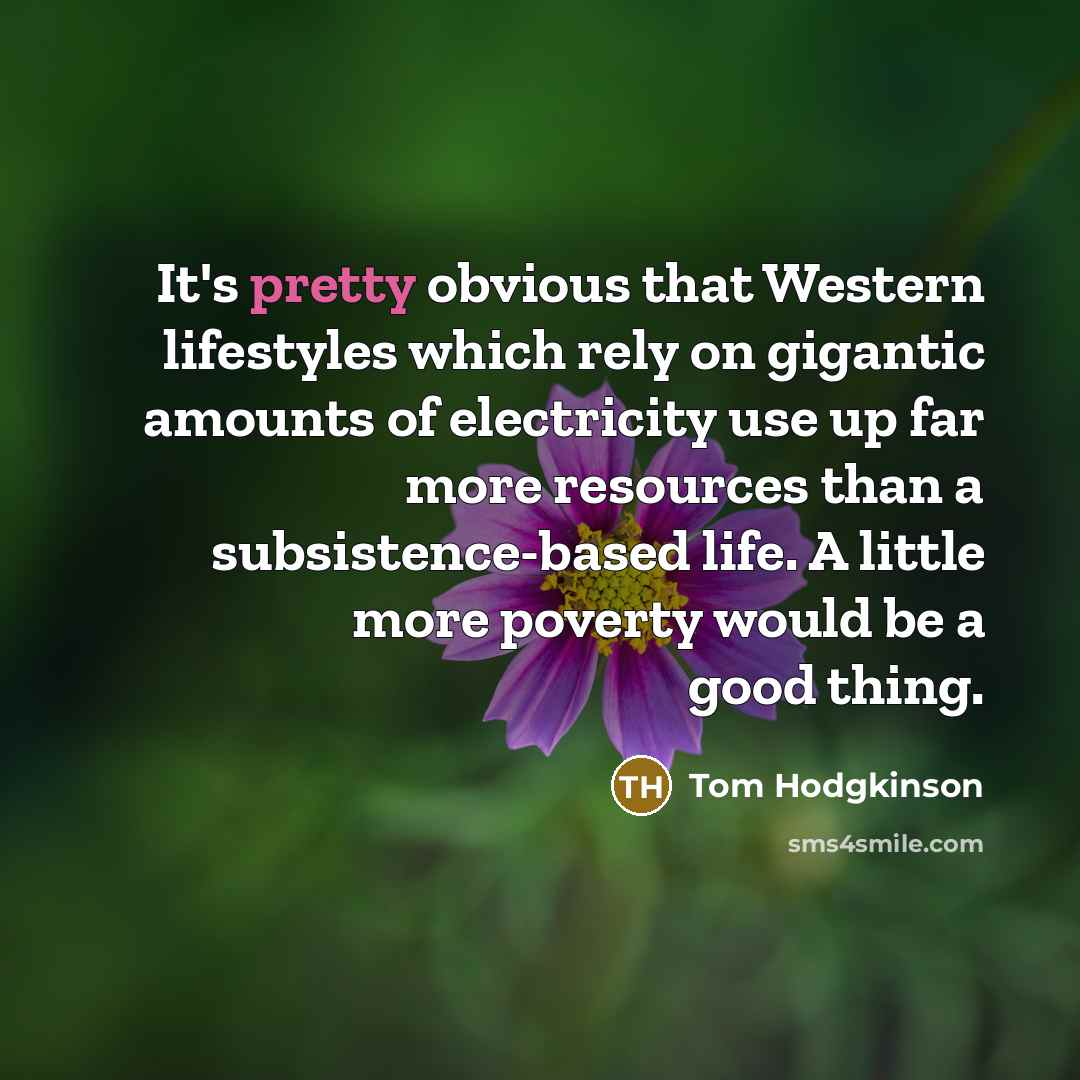 “It's pretty obvious that Western lifestyles which rely on gigantic…” quote by Tom Hodgkinson