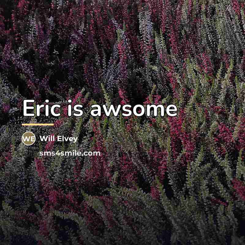 “Eric is awsome…” quote by Will Elvey