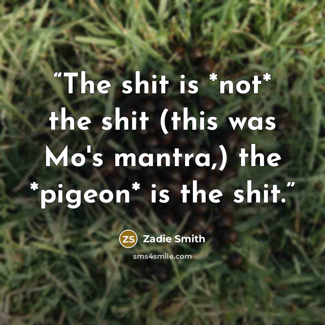 “The shit is *not* the shit (this was Mo's mantra,) the *pigeon* is the shit.” quote by Zadie Smith