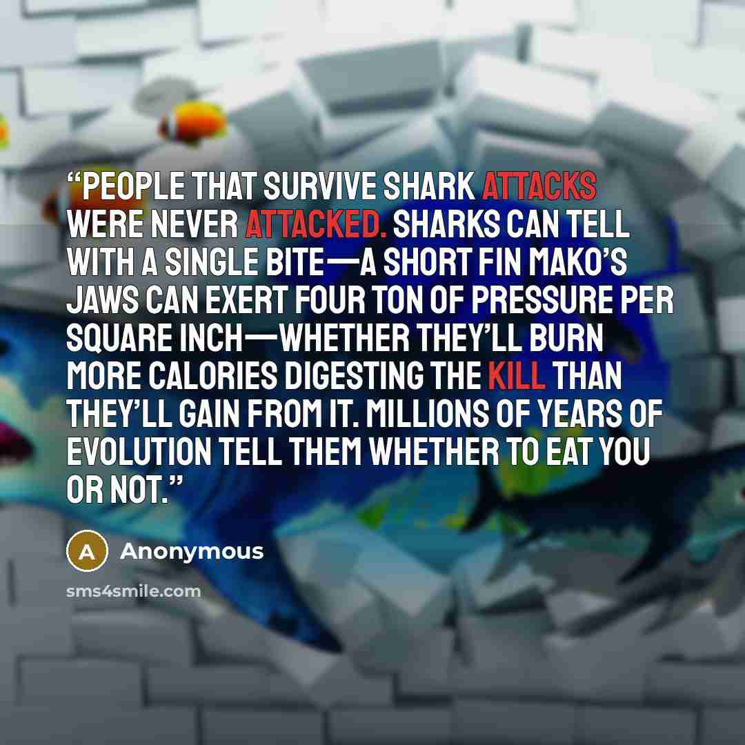 “People that survive shark attacks were never attacked. Sharks can tell with a single bite—a short fin mako’s jaws can exert four ton of pressure per square inch—whether they’ll burn more calories digesting the kill than they’ll gain from it. Millions of years of evolution tell them whether to eat…” quote by Anonymous