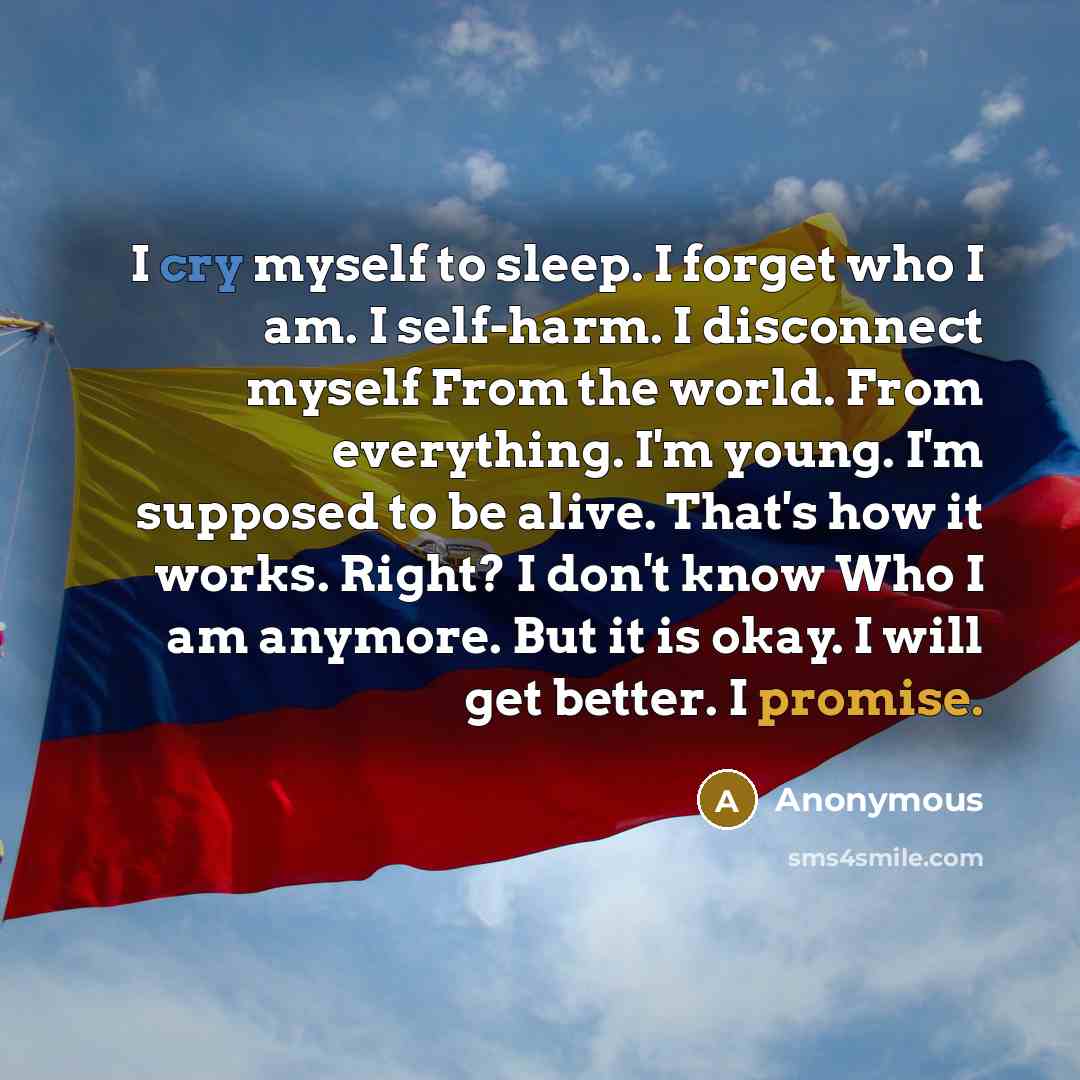“I cry myself to sleep. I forget who I am. I self-harm. I disconnect myself From the world. From everything. I'm young. I'm supposed to be alive. That's how it works. Right? I don't know Who I am anymore. But it is okay. I will get better. I promise.” quote by Anonymous