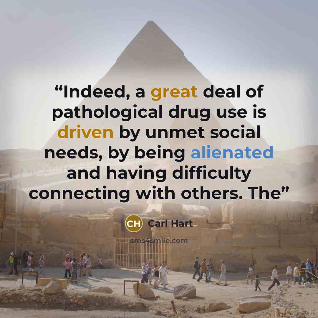 “Indeed, a great deal of pathological drug use is driven by unmet social needs, by being alienated and having difficulty connecting with others. The” quote by Carl Hart