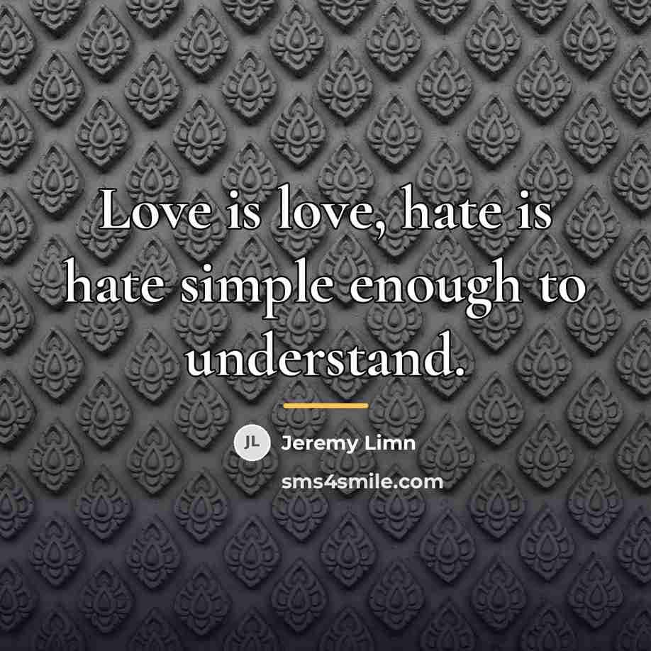 “Love is love, hate is hate simple enough to understand.…” quote by Jeremy Limn