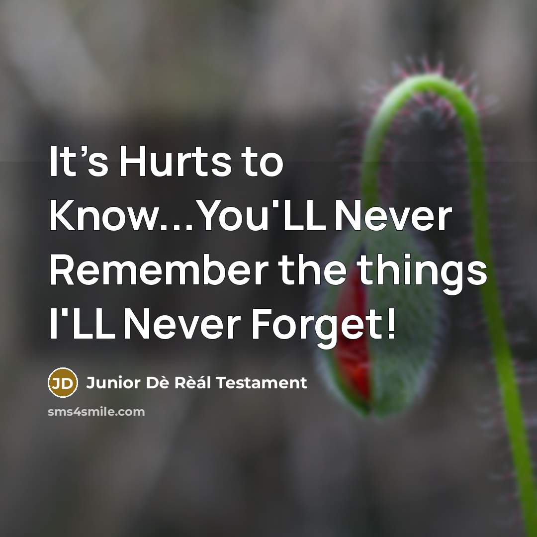 “It's Hurts to Know...You'LL Never Remember the things I'LL Never…” quote by Junior Dè Rèál Testament