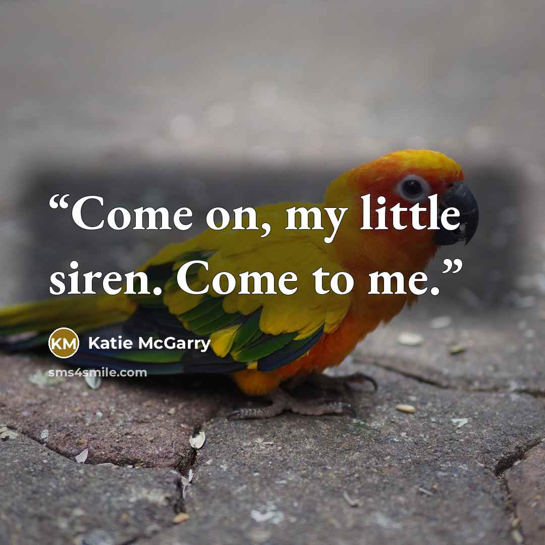 “Come on, my little siren. Come to me.” quote by Katie McGarry