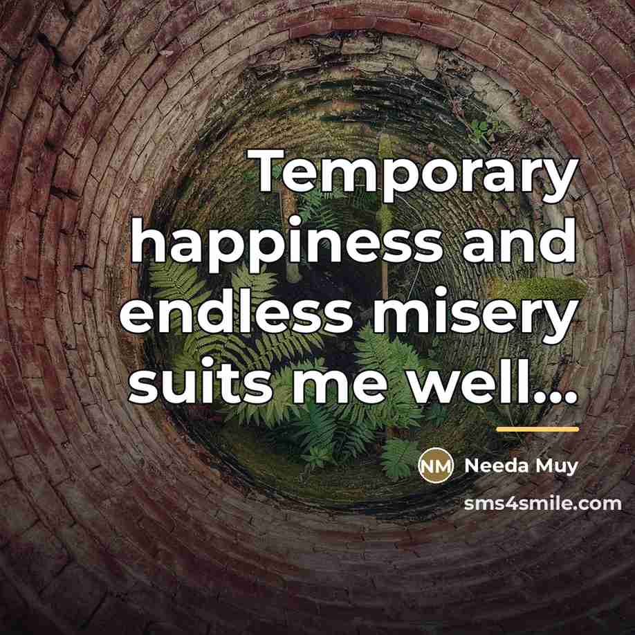 “Temporary happiness and endless misery suits me well...…” quote by Needa Muy