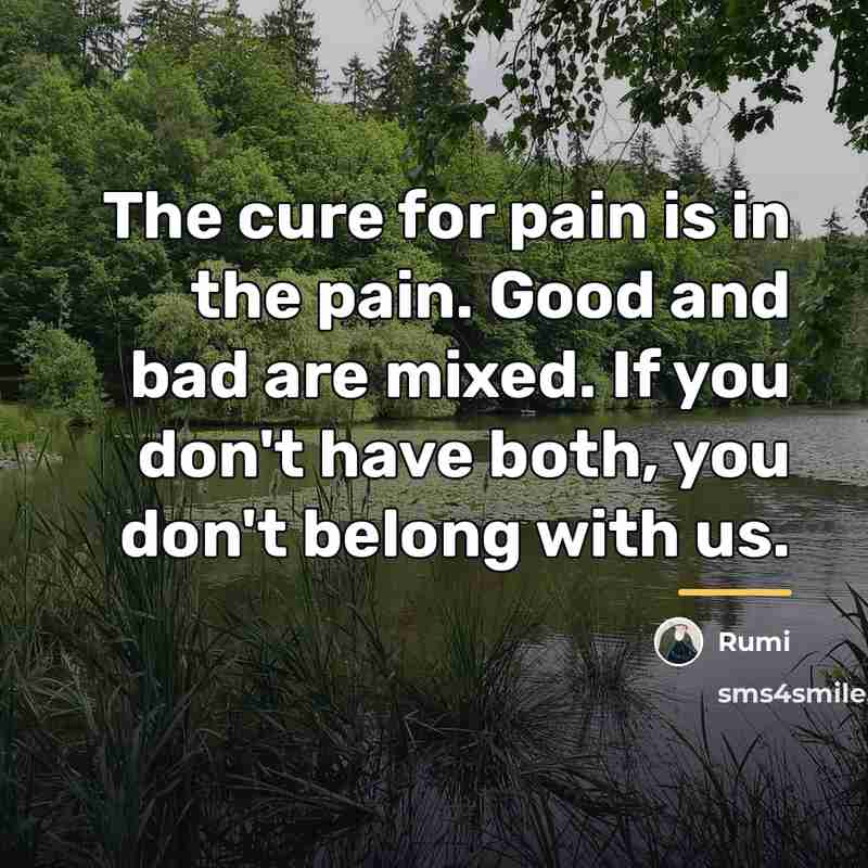 “The cure for pain is in the pain. Good and…” quote by Rumi
