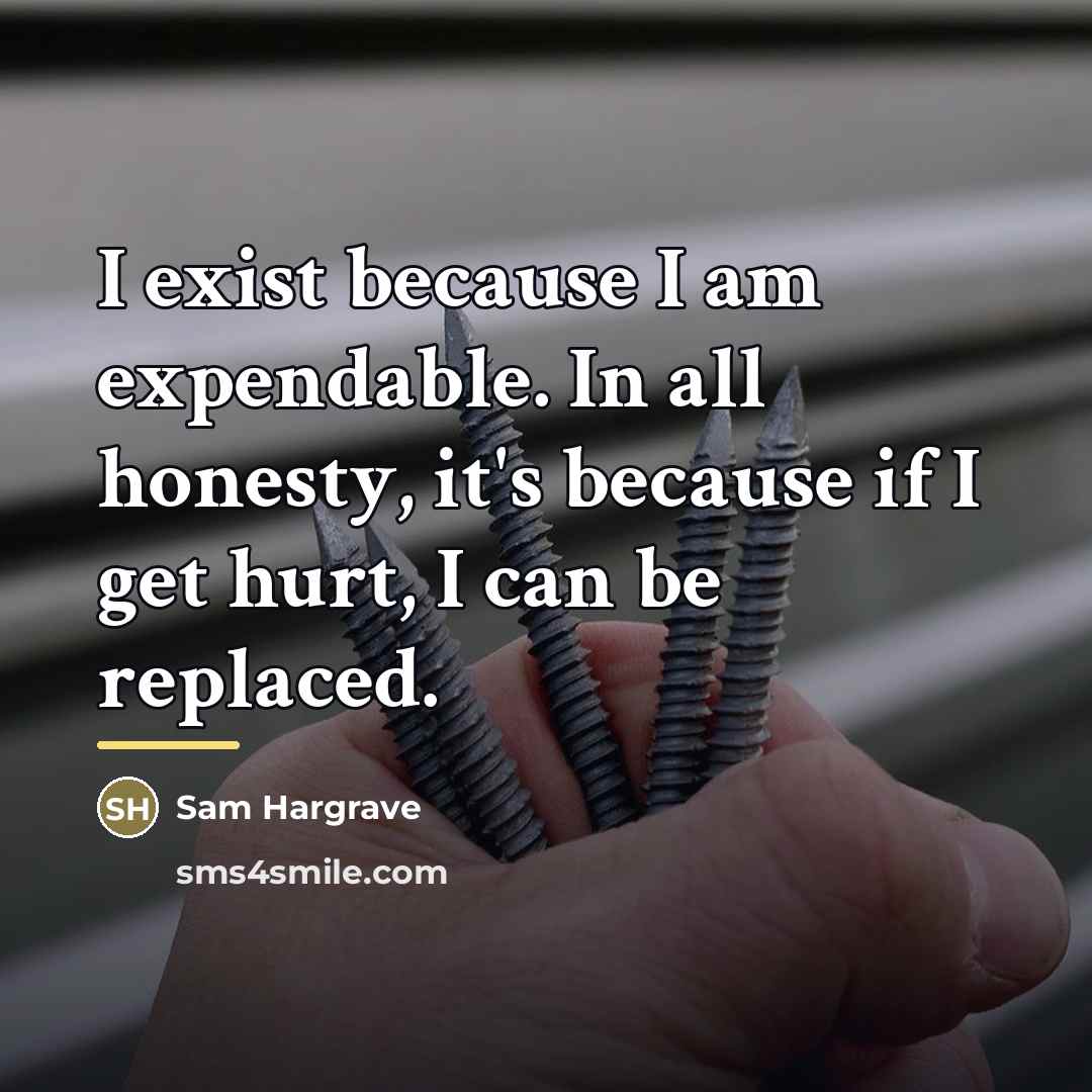 “I exist because I am expendable. In all honesty, it's…” quote by Sam Hargrave