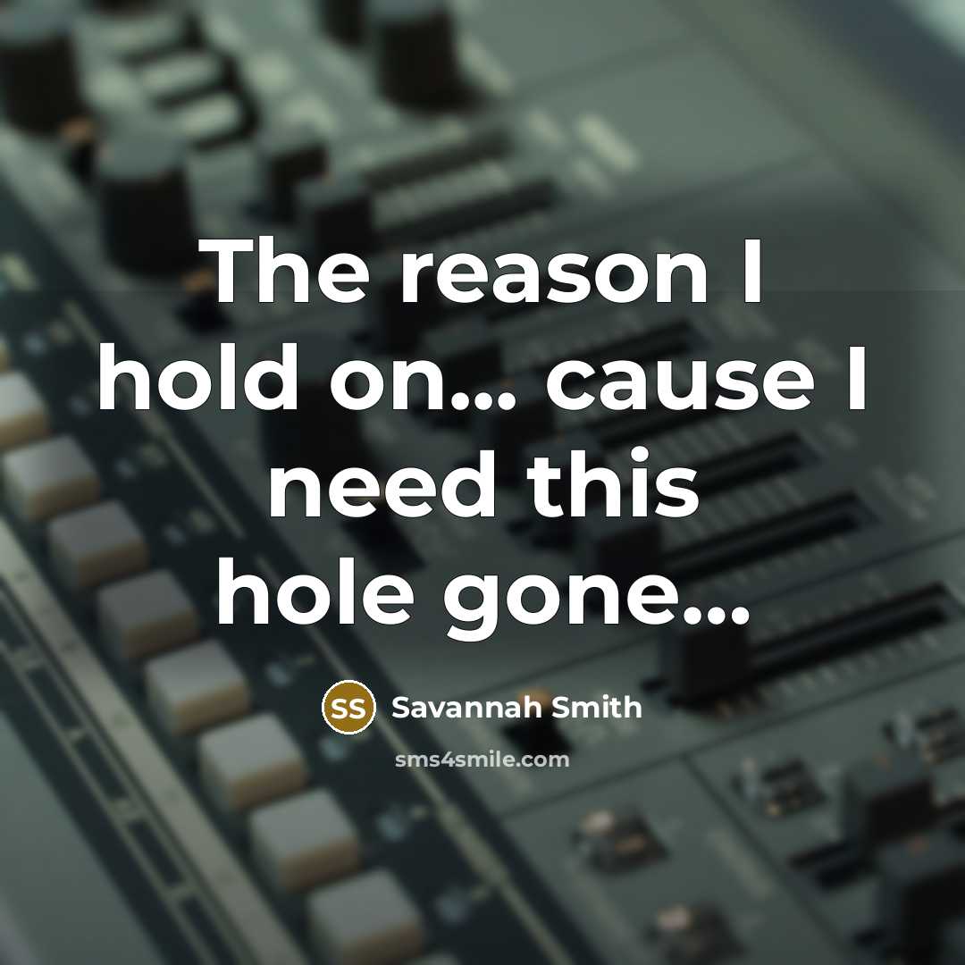 “The reason I hold on... cause I need this hole…” quote by Savannah Smith