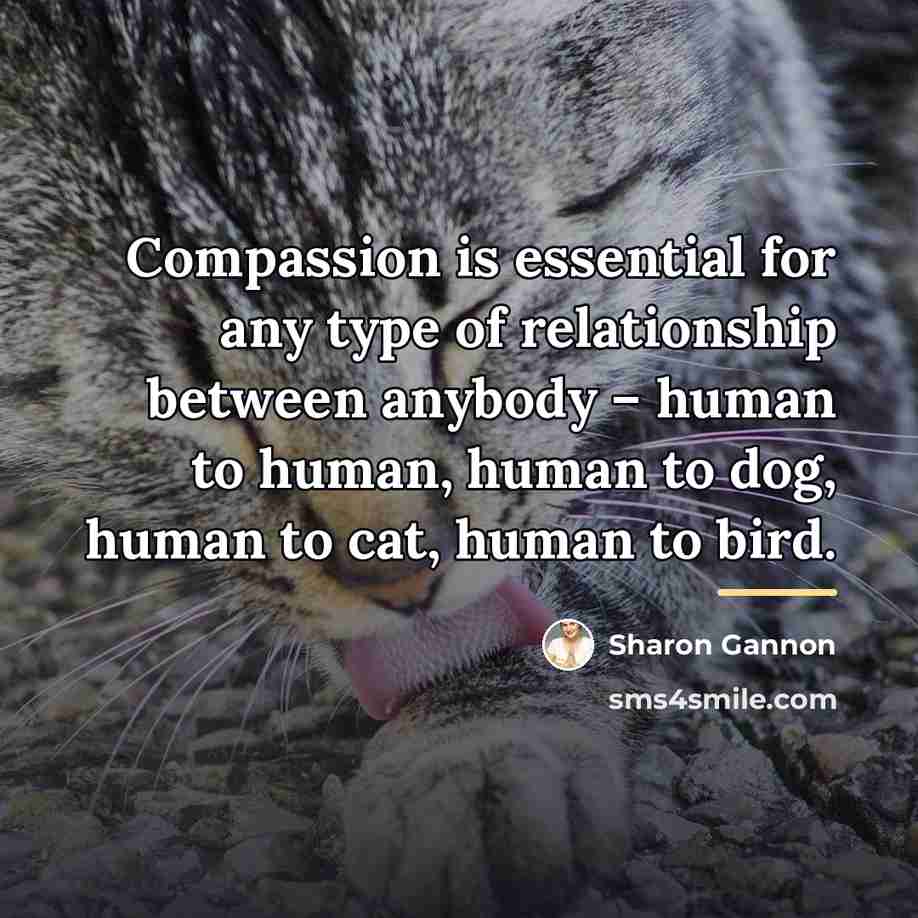 “Compassion is essential for any type of relationship between anybody…” quote by Sharon Gannon