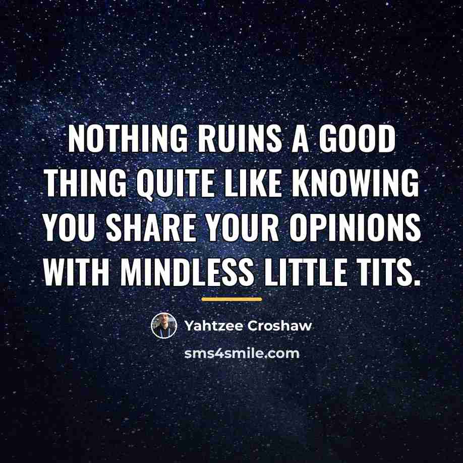 “Nothing ruins a good thing quite like knowing you share…” quote by Yahtzee Croshaw