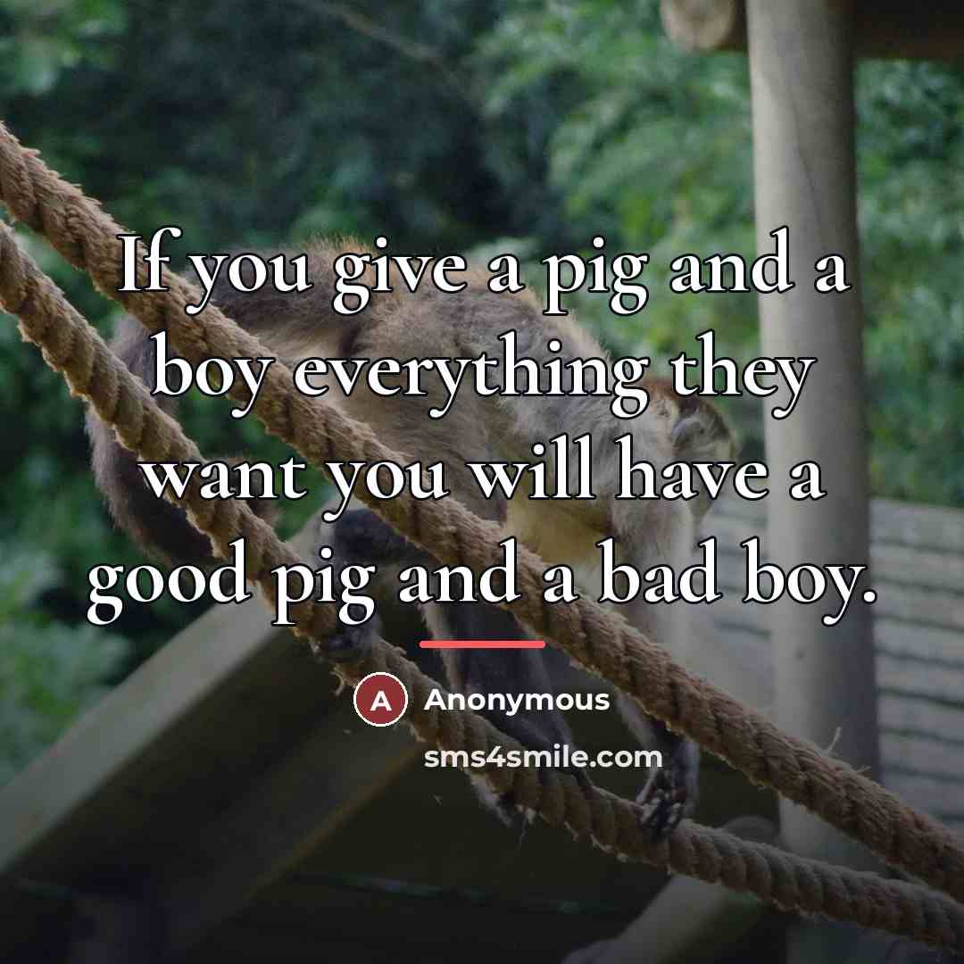 “If you give a pig and a boy everything they…” quote by Anonymous