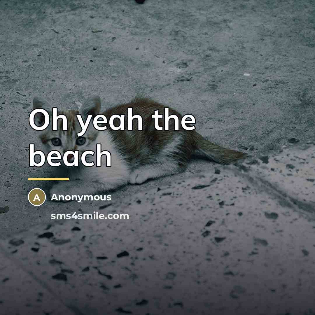 “Oh yeah the beach…” quote by Anonymous