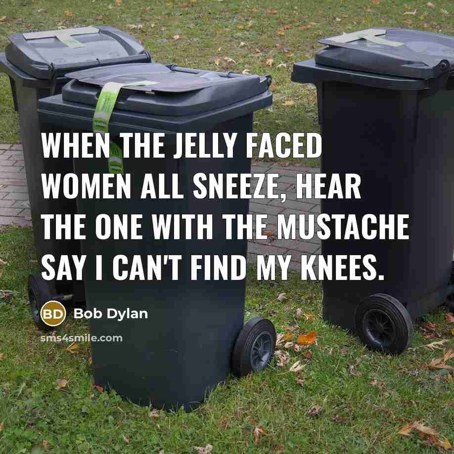 “When the jelly faced women all sneeze, hear the one with the mustache say I can't find my knees.” quote by Bob Dylan