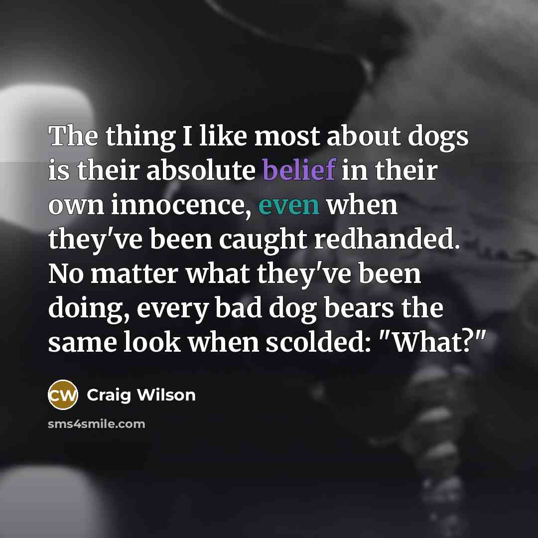 “The thing I like most about dogs is their absolute belief in their own innocence, even when they've been caught redhanded. No matter what they've been doing, every bad dog bears the same look when scolded: "What?"” quote by Craig Wilson