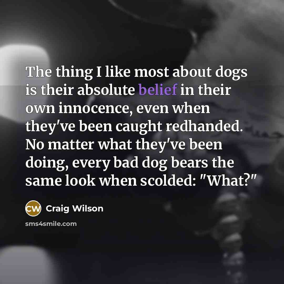 “The thing I like most about dogs is their absolute…” quote by Craig Wilson