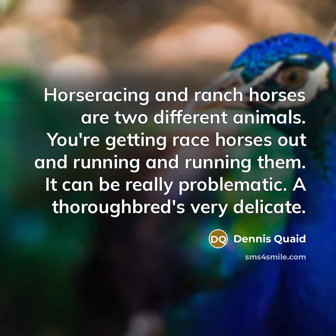 “Horseracing and ranch horses are two different animals. You're getting…” quote by Dennis Quaid