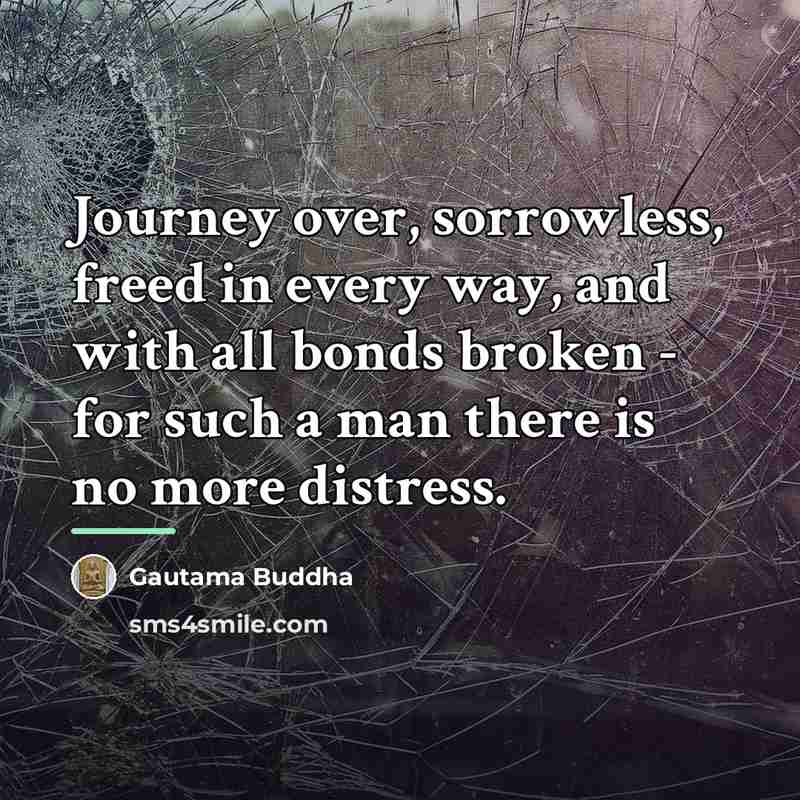 “Journey over, sorrowless, freed in every way, and with all…” quote by Gautama Buddha