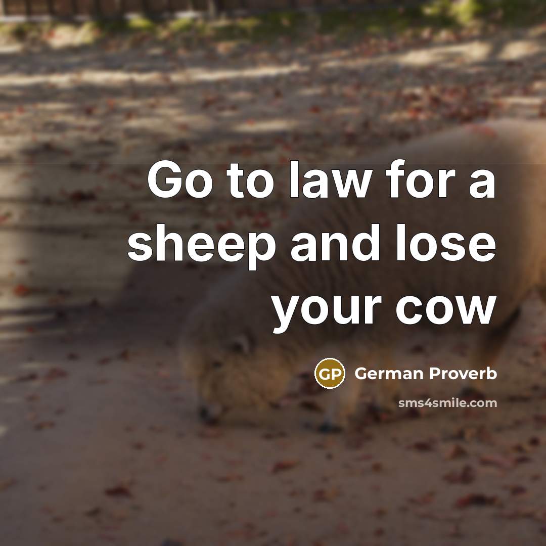 “Go to law for a sheep and lose your cow…” quote by German Proverb