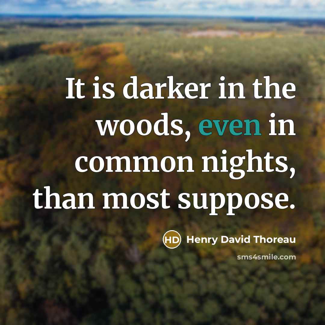 “It is darker in the woods, even in common nights,…” quote by Henry David Thoreau