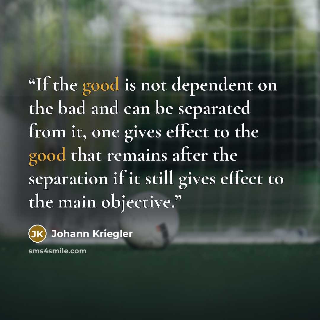 “If the good is not dependent on the bad and can be separated from it, one gives effect to the good that remains after the separation if it still gives effect to the main objective.” quote by Johann Kriegler