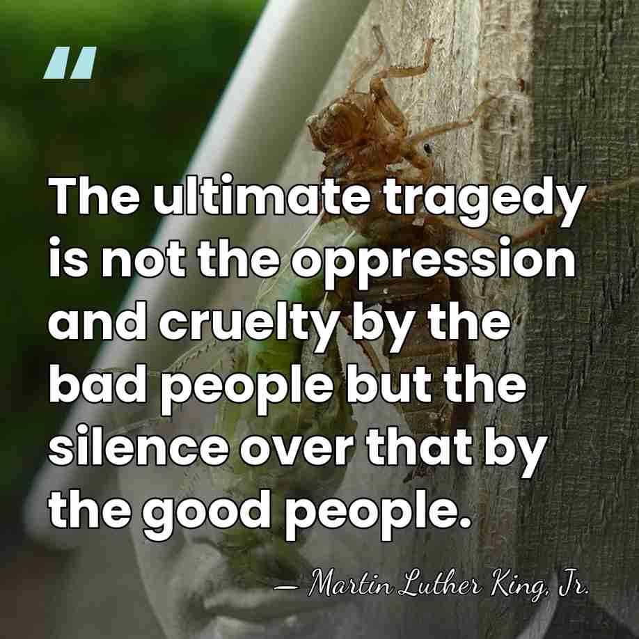 The ultimate tragedy is not the oppression and cruelty by the bad&hellip; - Martin Luther King, Jr.