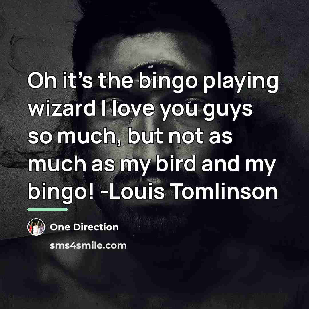 “Oh it's the bingo playing wizard I love you guys…” quote by One Direction