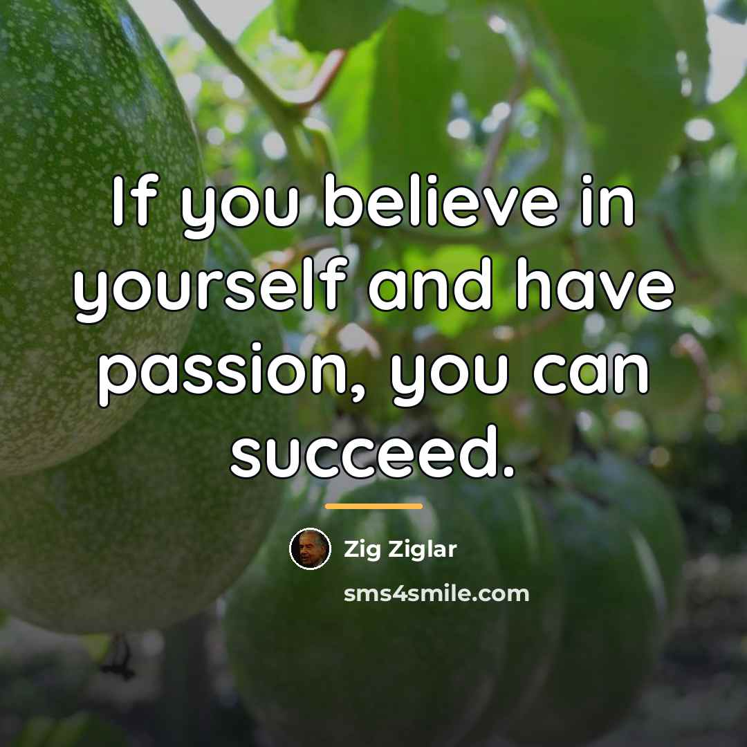 “If you believe in yourself and have passion, you can…” quote by Zig Ziglar