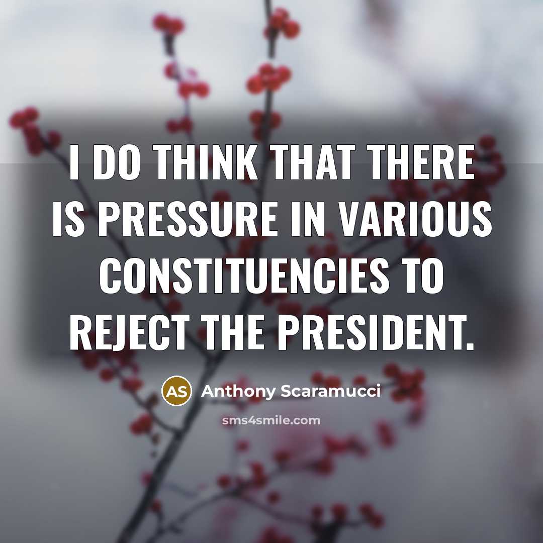 “I do think that there is pressure in various constituencies…” quote by Anthony Scaramucci
