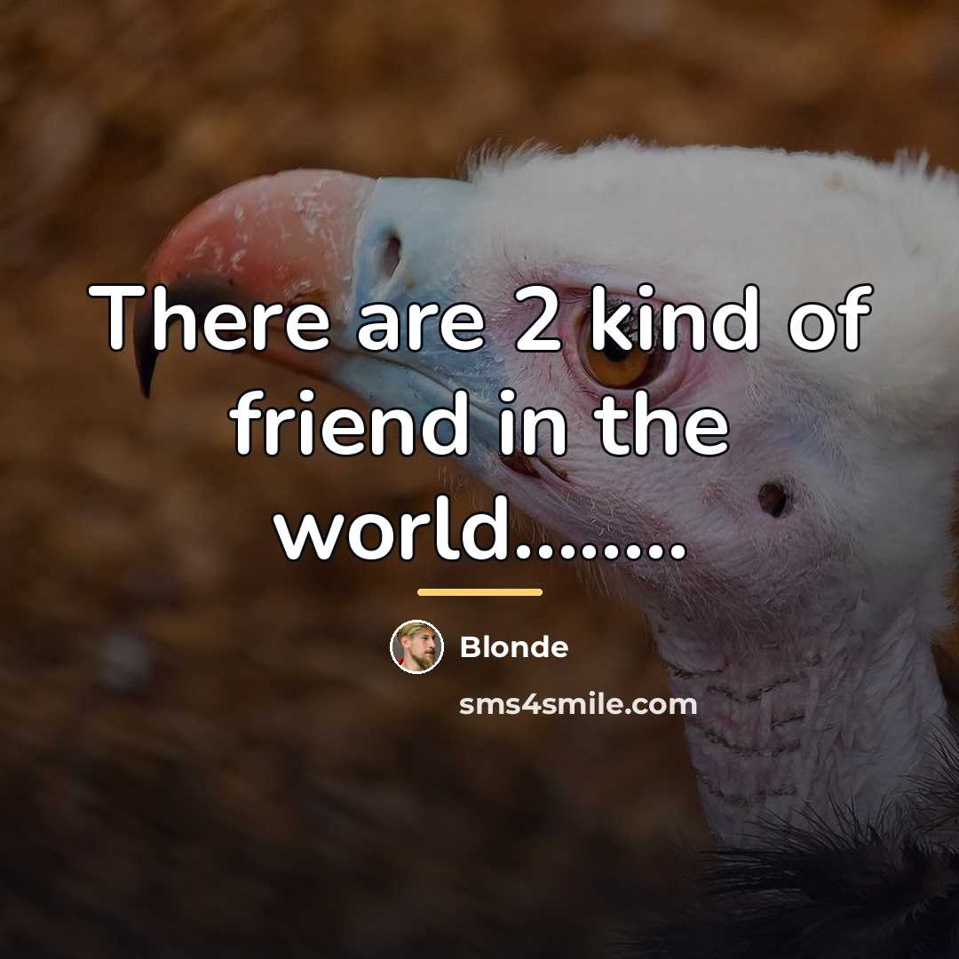 “There are 2 kind of friend in the world........…” quote by Blonde