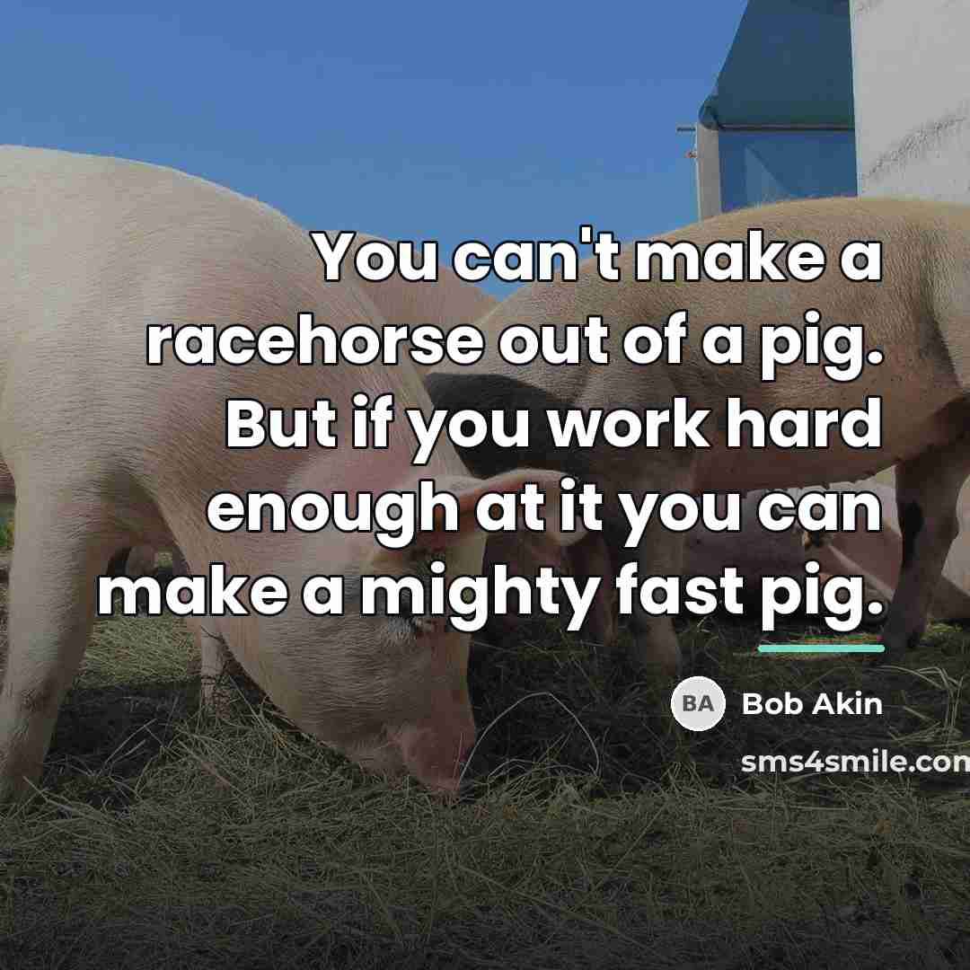 “You can't make a racehorse out of a pig. But…” quote by Bob Akin