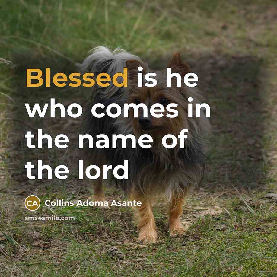 “Blessed is he who comes in the name of the…” quote by Collins Adoma Asante