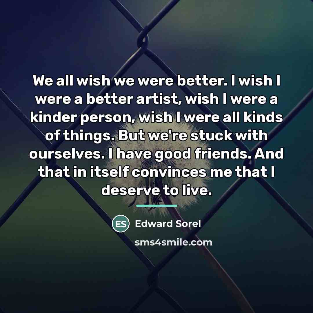 “We all wish we were better. I wish I were…” quote by Edward Sorel