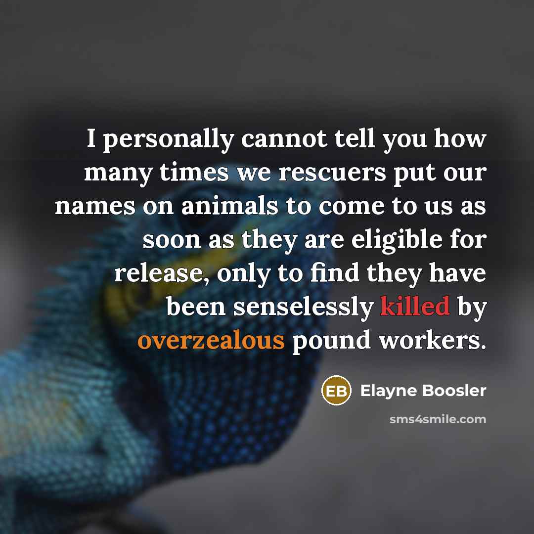 “I personally cannot tell you how many times we rescuers…” quote by Elayne Boosler