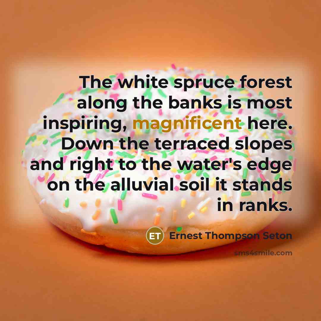 “The white spruce forest along the banks is most inspiring,…” quote by Ernest Thompson Seton