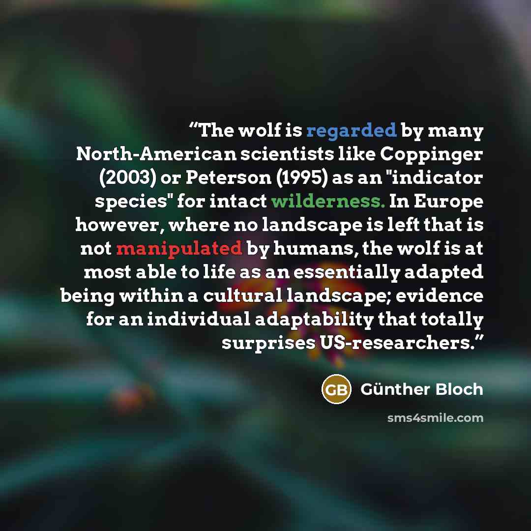 “The wolf is regarded by many North-American scientists like Coppinger (2003) or Peterson (1995) as an "indicator species" for intact wilderness. In Europe however, where no landscape is left that is not manipulated by humans, the wolf is at most able to life as an essentially adapted being within…” quote by Günther Bloch