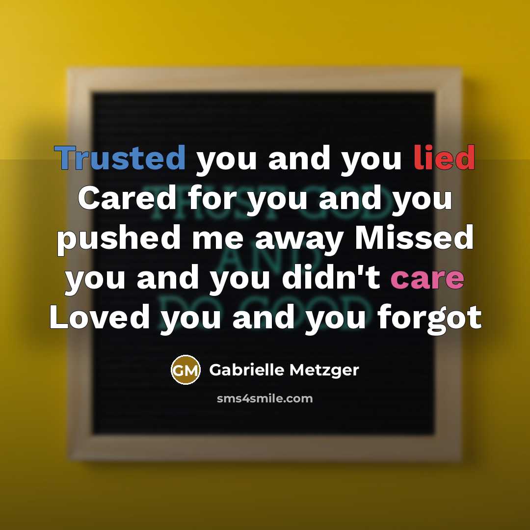 “Trusted you and you lied Cared for you and you…” quote by Gabrielle Metzger