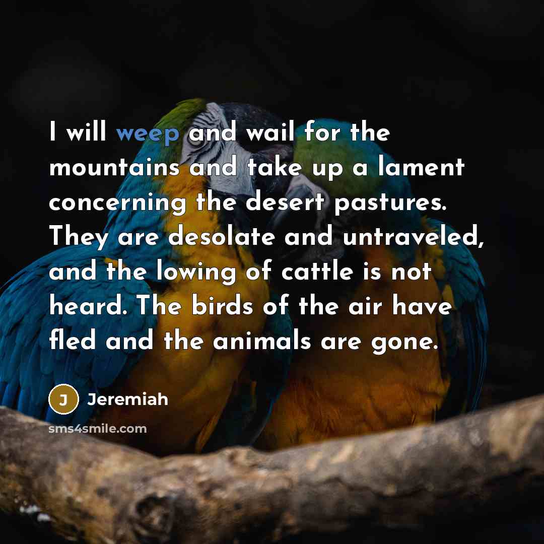 “I will weep and wail for the mountains and take…” quote by Jeremiah