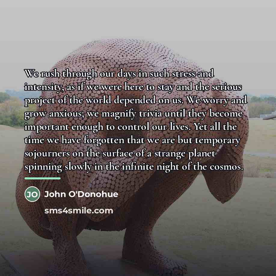 “We rush through our days in such stress and intensity,…” quote by John O'Donohue