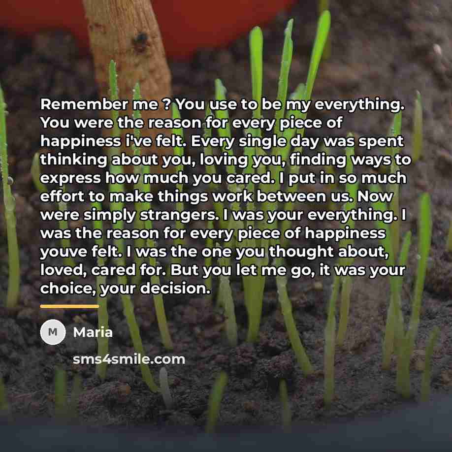 “Remember me ? You use to be my everything. You…” quote by Maria