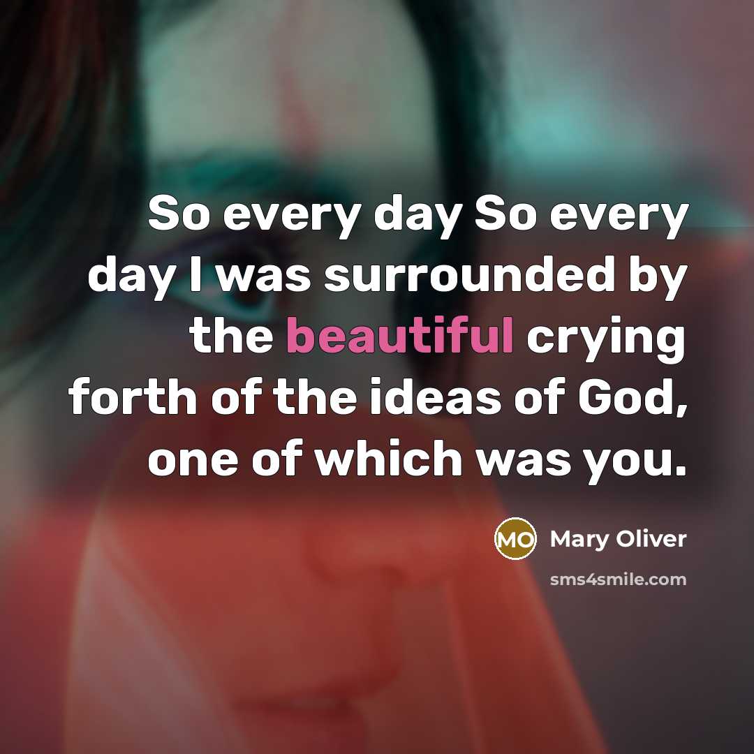 “So every day So every day I was surrounded by…” quote by Mary Oliver