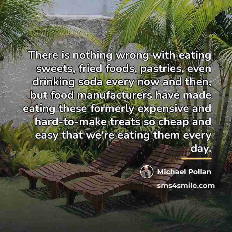 “There is nothing wrong with eating sweets, fried foods, pastries,…” quote by Michael Pollan
